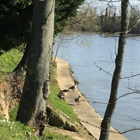 Nature Et Silence A Saint Germain En Laye * Le Pecq